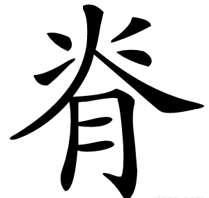 脊